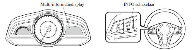 Multi-informatiedisplay 